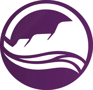 Chad Erickson Foundation